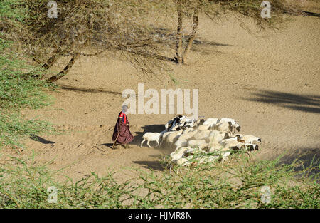 KENIA Turkana, Lodwar, Turkana pastore con capre alla ricerca di acqua e pascoli / Turkana Hirte mit Ziegen auf der Suche nach Wasser und Futter Foto Stock