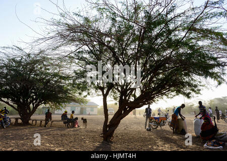 KENIA Turkana, Lodwar, mercato del bestiame, herder compra e vende capre / Turkana mit Ziegen auf dem Viehmarkt Foto Stock