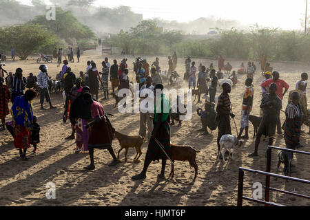 KENIA Turkana, Lodwar, mercato del bestiame, herder compra e vende capre / Turkana mit Ziegen auf dem Viehmarkt Foto Stock