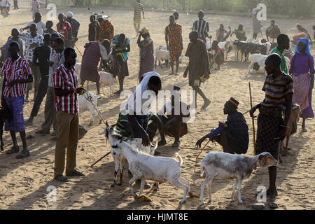 KENIA Turkana, Lodwar, mercato del bestiame, herder compra e vende capre / Turkana mit Ziegen auf dem Viehmarkt Foto Stock