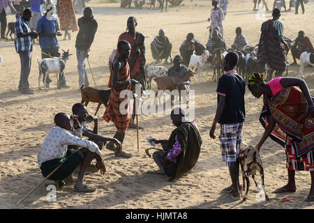 KENIA Turkana, Lodwar, mercato del bestiame, herder compra e vende capre, uomo seduto sul loro piccole sedie di legno / Turkana mit Ziegen auf dem Viehmarkt, Turkana Maenner sitzen auf kleinen Holz Hockern Foto Stock