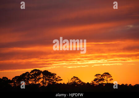 Flaming arancione tramonto in Florida, Stati Uniti d'America Foto Stock