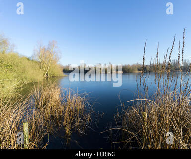 Vista sul lago ghiacciato di Milton Park Cambridge Cambridgeshire 2017 Foto Stock