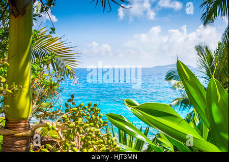 Spiaggia delle Seychelles, isola di La Digue, Spiaggia di Anse Patates Foto Stock