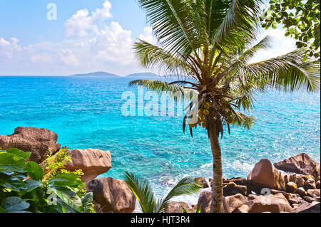 Spiaggia delle Seychelles, isola di La Digue, Spiaggia di Anse Patates Foto Stock