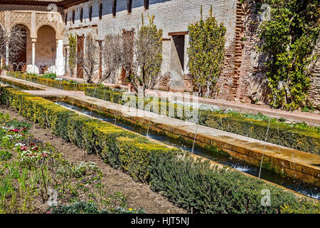 Fontane al Patio de le Azequia Alhambra Palace Granada Spagna Foto Stock