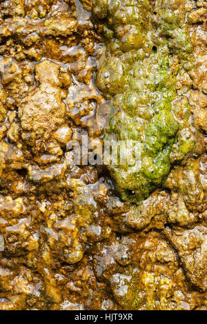 Scivolose rocce sotto l'influenza di lungo termine acqua, nota leggera profondità di campo Foto Stock