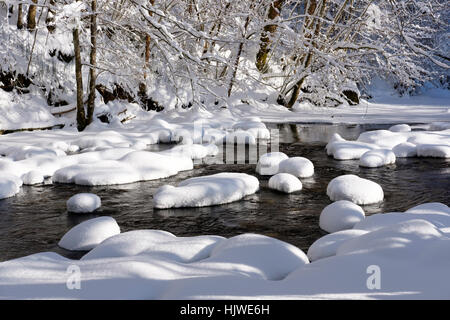 Fiume nel paesaggio innevato, Superiore Argen, riserva naturale Eistobel a Grünenbach, Algovia, Svevia, Baviera, Germania Foto Stock