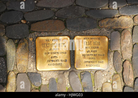 "Tumbling isolati di Freiburg im Breisgau Baden Württemberg Germania Foto Stock