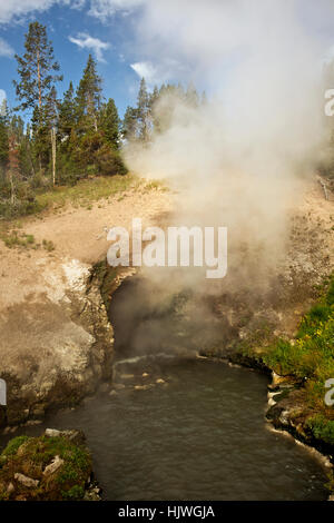 WY02178-00...WYOMING - i draghi molla in bocca al fango vulcano area termale nel parco nazionale di Yellowstone. Foto Stock