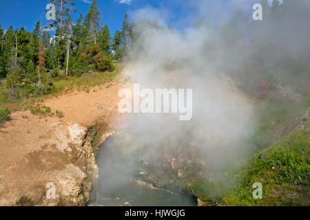 WY02179-00...WYOMING - i draghi molla in bocca al fango vulcano area termale nel parco nazionale di Yellowstone. Foto Stock