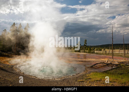 WY02190-00...WYOMING - Firehole molla su Firehole Drive nel Parco Nazionale di Yellowstone. Foto Stock