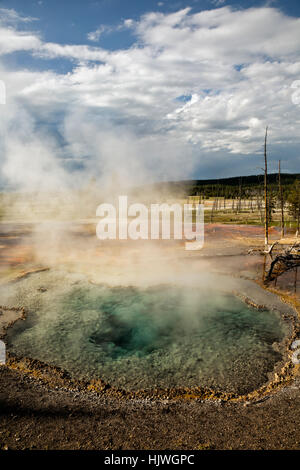 WY02191-00...WYOMING - Firehole molla su Firehole Drive nel Parco Nazionale di Yellowstone. Foto Stock