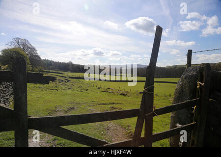 5 rotto sbarrata dal cancello in Yorkshire Dales Foto Stock