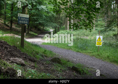 Percorso attraverso la foresta sul modo di Simon's sedile da Bolton Abbey Estate Foto Stock