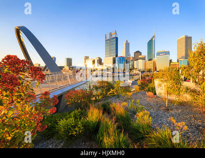 Nativo di piante che crescono a Elizabeth Quay. Foto Stock