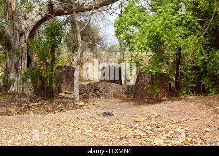 Lamin Koto circoli di pietra, sito Patrimonio Mondiale dell'UNESCO, il Gambia, Africa Foto Stock