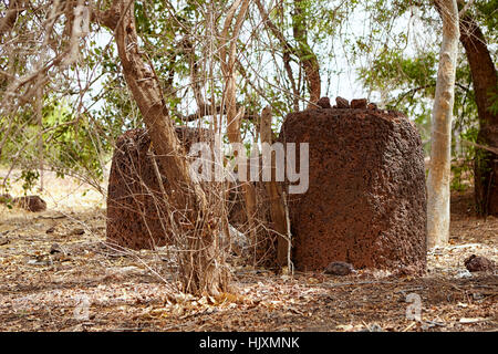 Lamin Koto circoli di pietra, sito Patrimonio Mondiale dell'UNESCO, il Gambia, Africa Foto Stock