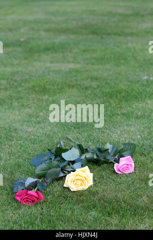 Le rose déposées sur la pelouse du Jardin du souvenir. Cimetière du Père Lachaise. Foto Stock