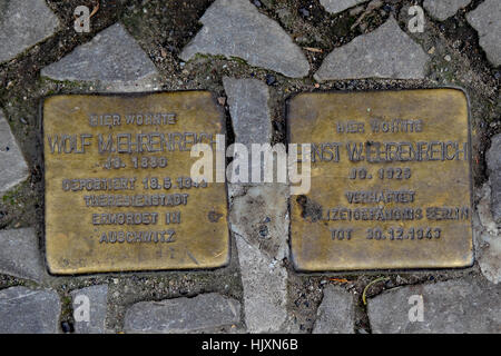 Stolperstein (pietra di inciampo) per le strade di Berlino per commemorare i membri della famiglia Mehrenreich Foto Stock