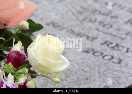 Rose jaune sur une pierre tombale. Foto Stock