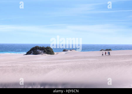 Corralejo parco naturale, Corralejo, Fuerteventura, Isole Canarie, Spagna Foto Stock