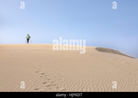 Corralejo parco naturale, Corralejo, Fuerteventura, Isole Canarie, Spagna Foto Stock