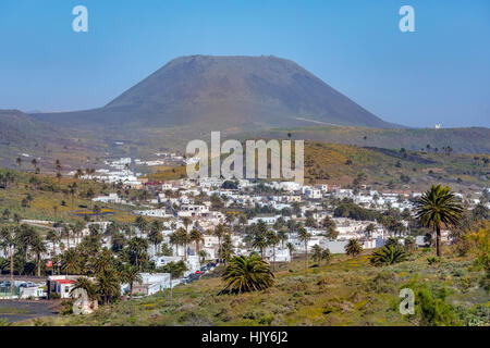 Haria, Valle del 1000 palms, Lanzarote, Isole Canarie, Spagna Foto Stock