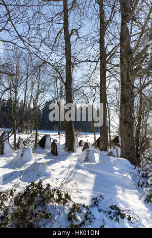 Gli ostacoli del serbatoio in inverno - la cosiddetta linea di Siegfried Foto Stock