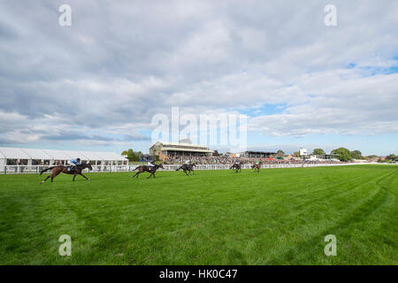 Corse di cavalli a Hereford racecourse - ampio angolo Foto Stock