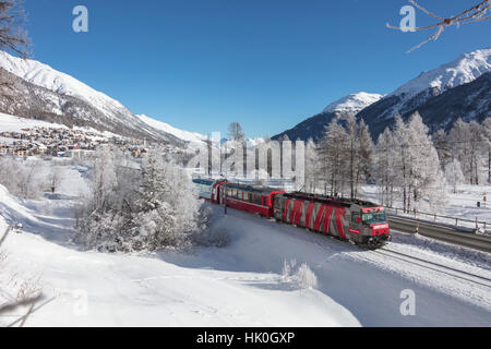 Il trenino rosso corre attraverso il paesaggio innevato intorno a Samedan Maloja, Canton Grigioni, Engadina, Svizzera Foto Stock