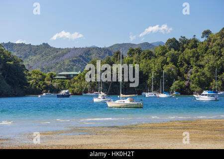 Yacht ormeggiati nel porto riparato, Ngakuta Bay, vicino a Picton Marlborough, South Island, in Nuova Zelanda, Pacific Foto Stock