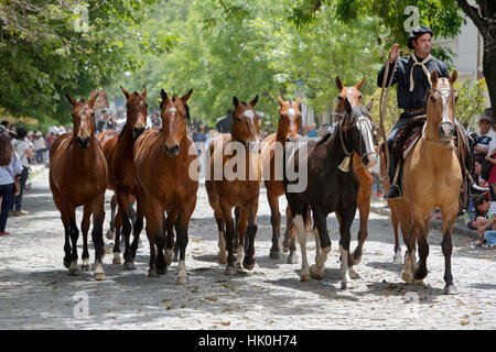 Gaucho parata del giorno della tradizione, San Antonio de Areco, La Pampa Argentina, Sud America Foto Stock