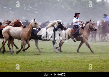 Gaucho festival sul giorno della tradizione, San Antonio de Areco, La Pampa Argentina, Sud America Foto Stock