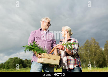 Coppia senior con scatola di carote in agriturismo Foto Stock