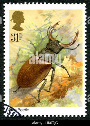 Gran Bretagna - circa 1985: un usato francobollo DAL REGNO UNITO, raffigurante una illustrazione di una Stag Beetle, circa 1985. Foto Stock