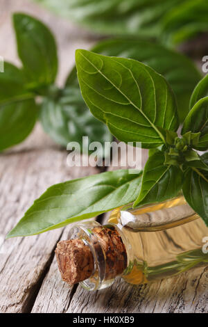 Olio profumato con basilico close-up nella bottiglia in verticale Foto Stock