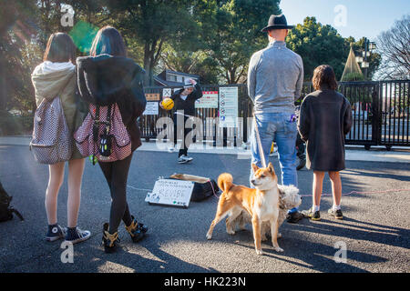 L'artista di strada in ballo nel parco di Yoyogi, Tokyo, Giappone Foto Stock