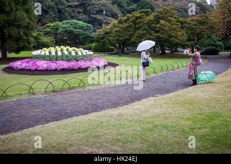 Crisantemo presentano in Shinjuku Gyoen park, Tokyo Foto Stock