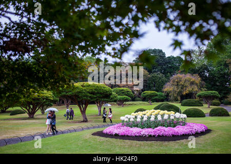 Crisantemo presentano in Shinjuku Gyoen park, Tokyo Foto Stock