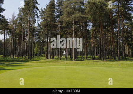 4 ° verde sul corso Longcross, Foxhills Club and Resort, Ottershaw Surrey, Inghilterra Foto Stock