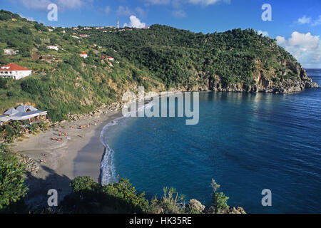 Shell Beach, Gustavia, St. BART, Caraibi Foto Stock