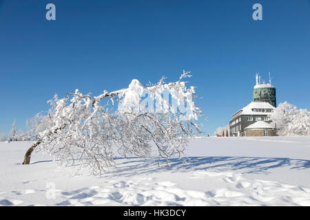 In inverno la zona di Sauerland, Germania, il Kahler Asten mountain, la quota più alta nel Nord Reno Westfalia, coperta di neve, alberi, paesaggio, soleggiato wea Foto Stock