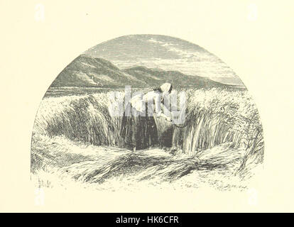 Fotografia tratta da pagina 253 di "bellezze del paesaggio inglese", con disegni dettagliati di Birket Foster, che mostrano paesaggi panoramici in tutta l'Inghilterra, incisi da Dalziel Brothers e J. Cooper. Foto Stock