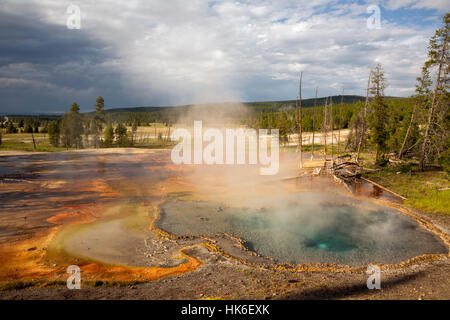 WY02192-00...WYOMING - Firehole molla su Firehole Drive nel Parco Nazionale di Yellowstone. Foto Stock