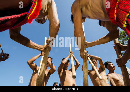 Membri della samdom-tribù mostrano il loro modo tradizionale di schiacciare le coltivazioni a hornbill-festival Foto Stock