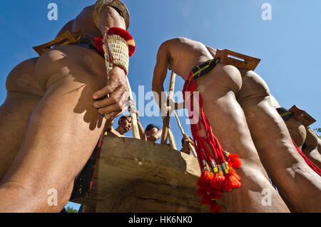 Membri della samdom-tribù mostrano il loro modo tradizionale di schiacciare le coltivazioni a hornbill-festival Foto Stock