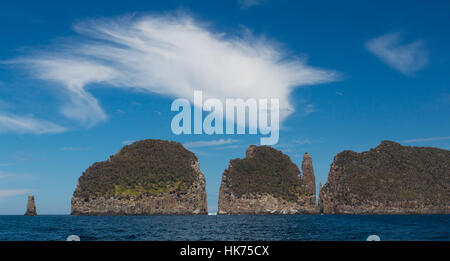 Piccole isole al largo della costa della Tasmania National Park, la Tasmania Foto Stock