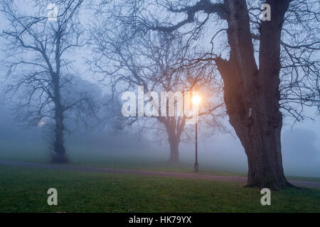 Foggy inverno sera in Queen's Park, Brighton East Sussex, Inghilterra. Foto Stock