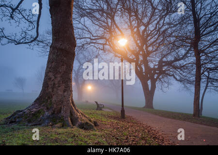 Foggy inverno sera in Queen's Park, Brighton East Sussex, Inghilterra. Foto Stock